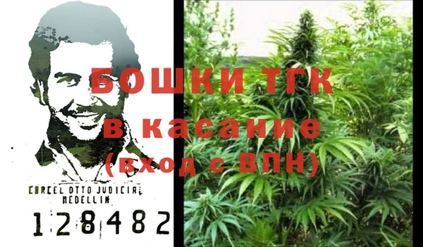 прущие грибы Лиски