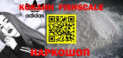 спиды Бийск