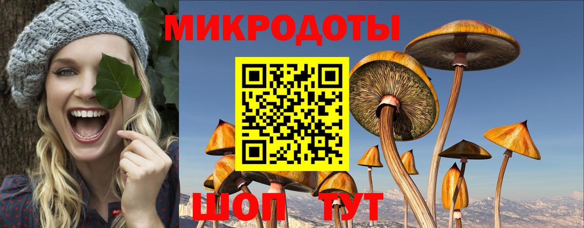 Красноярск  Псилоцибиновые грибы MAGIC MUSHROOMS  Вход с VPN 